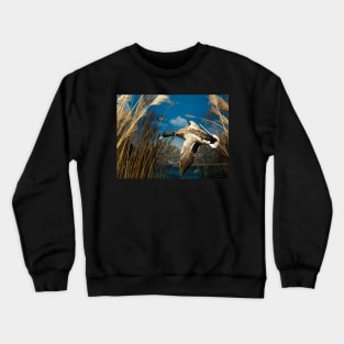 Natural environment diorama - a mallard  flying in the sky Crewneck Sweatshirt